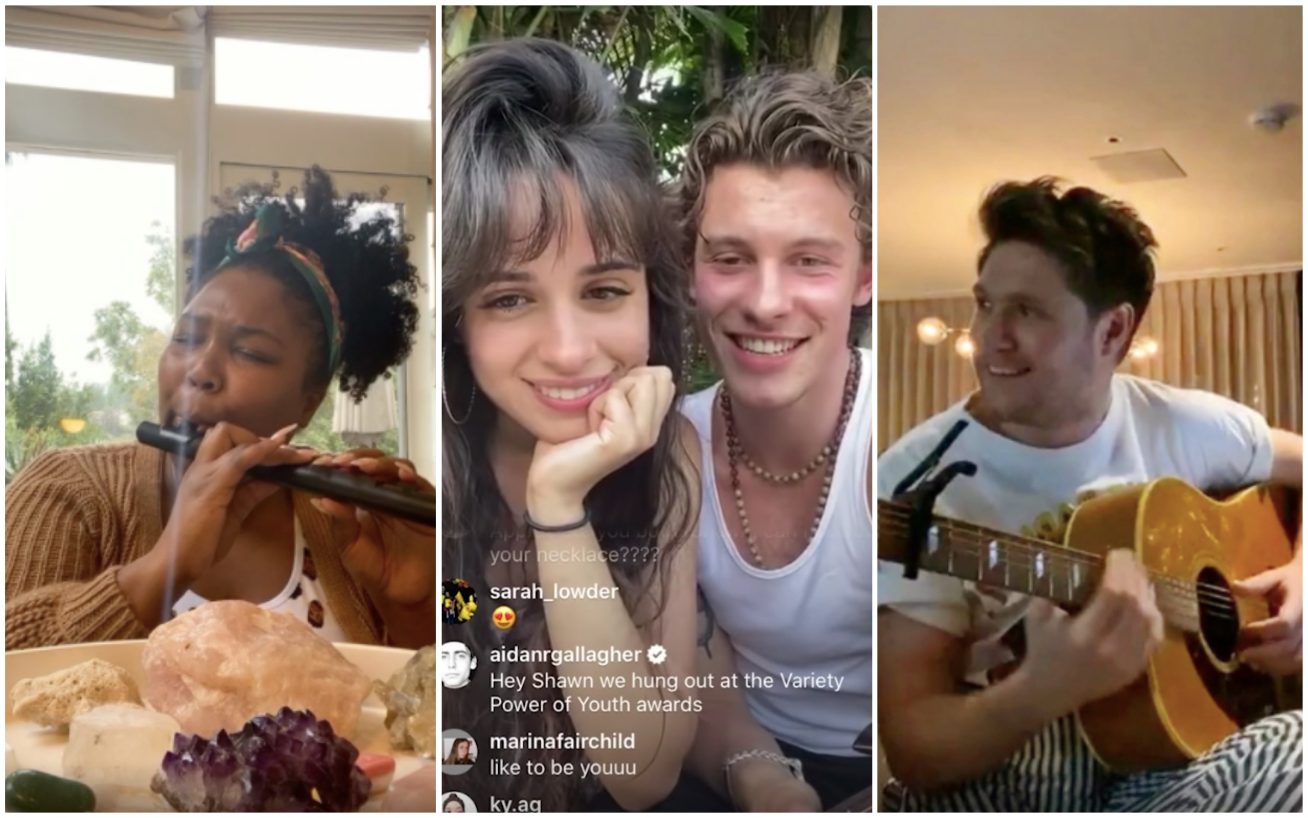 Lizzo, Camila Cabello and Shawn Mendes, and Niall Horan are just a few of the celebrities who joined the work from home trend. Photo: Instagram/YouTube