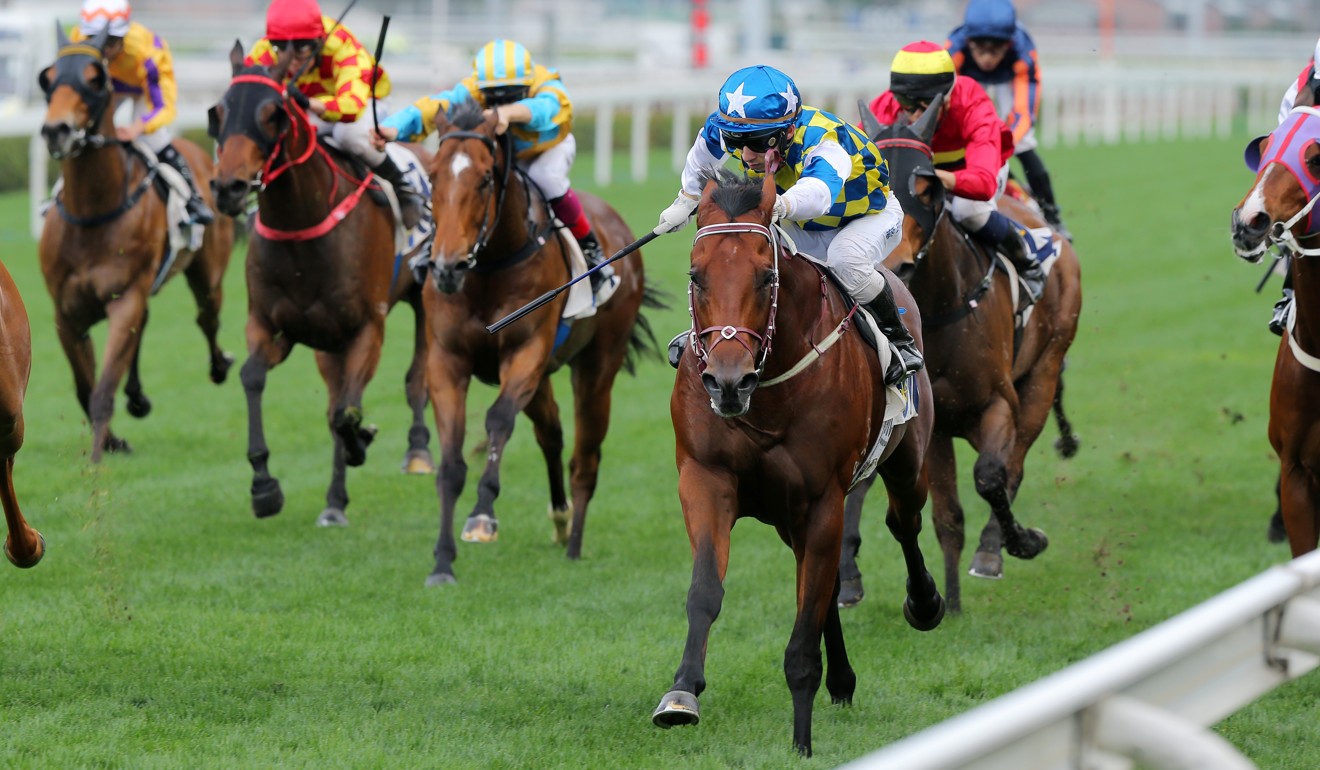 Computer Patch thunders along the rail on his way to victory on March 8.