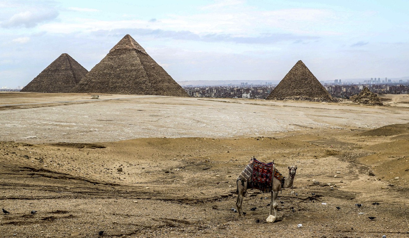 A camel waits at the Giza pyramid complex on the southwestern outskirts of the Egyptian capital Cairo on March 13. The outbreak of the novel coronavirus has put the US$1.7 trillion global tourism industry under threat. Photo: AFP