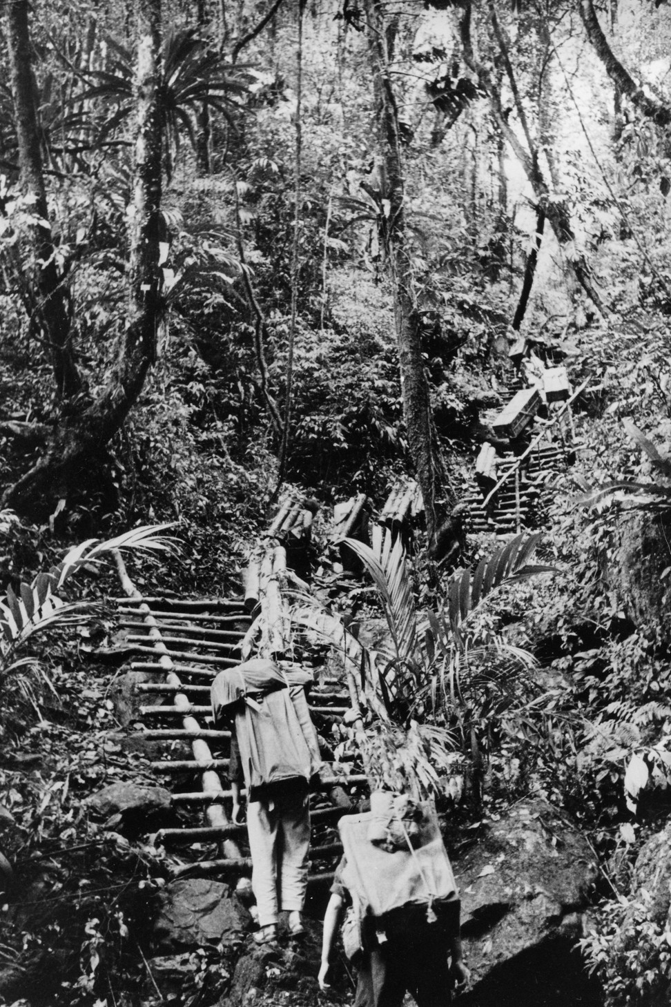 War supplies carried through jungle routes from North Vietnam and Cambodia to the southern Ho Chi Minh trail during the Vietnam war. Photo: Ullstein Bild via Getty Images