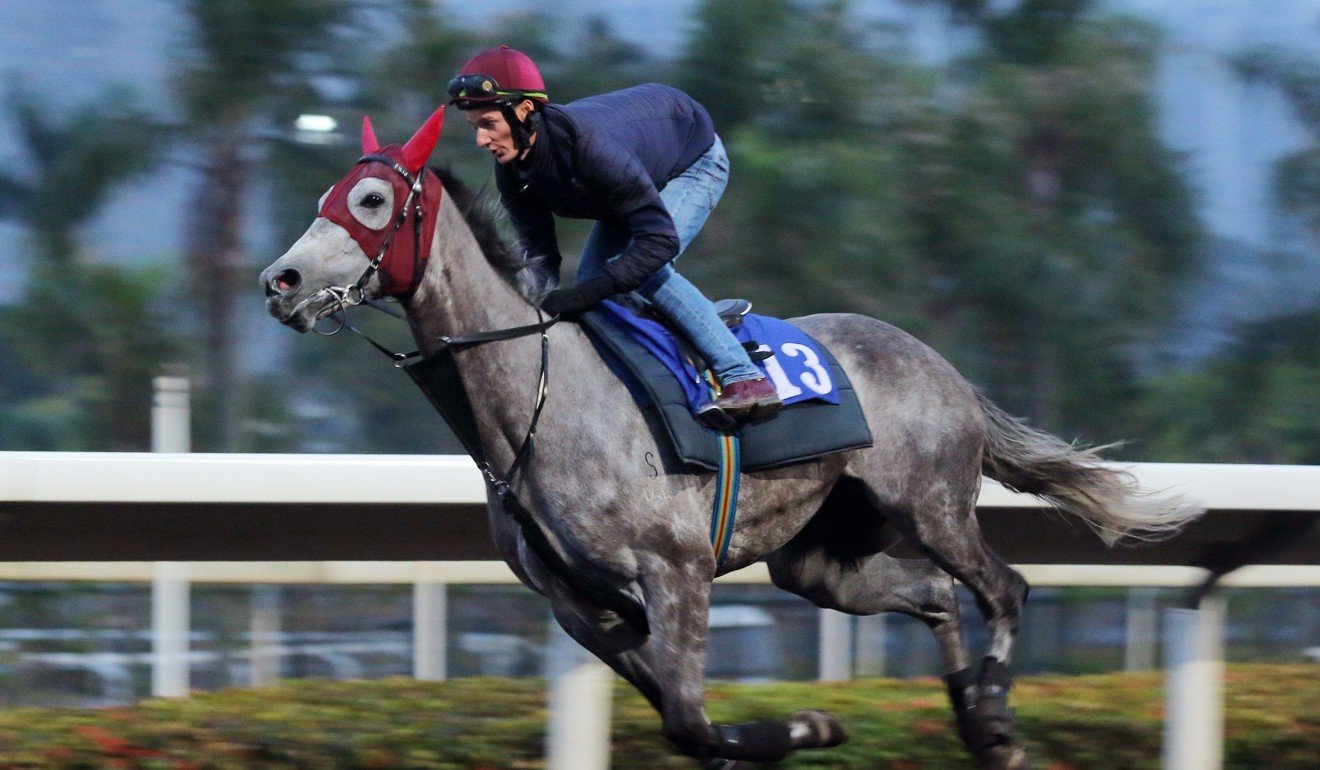 The John Moore-trained Helena Baby gallops at Sha Tin.