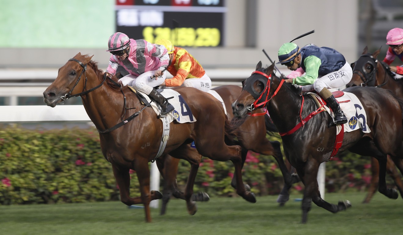 Paul O'Sullivan gets the Band back together five years after his 'greatest  thrill in racing' | HK Racing | South China Morning Post