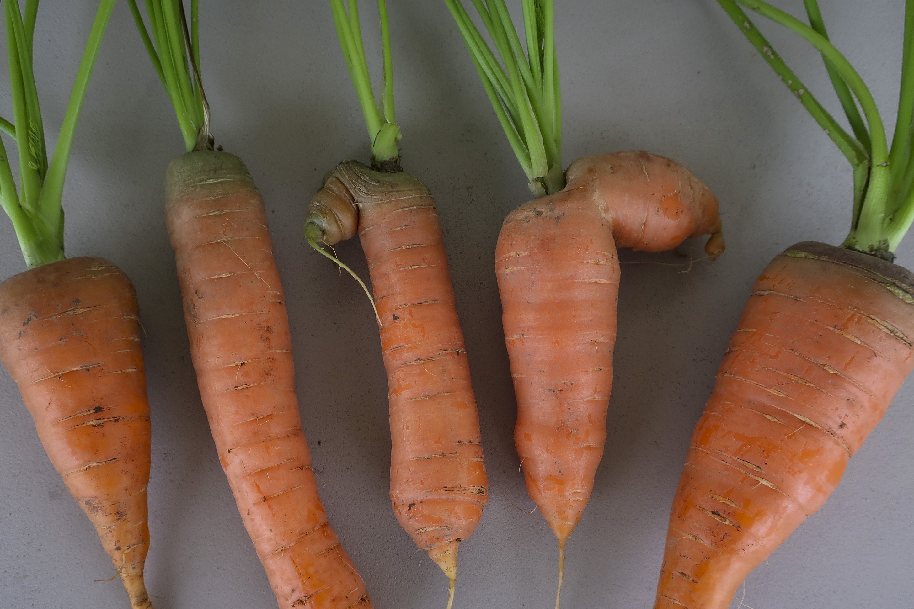 Eating weird and wonky fruit and veg could cut food waste, survey