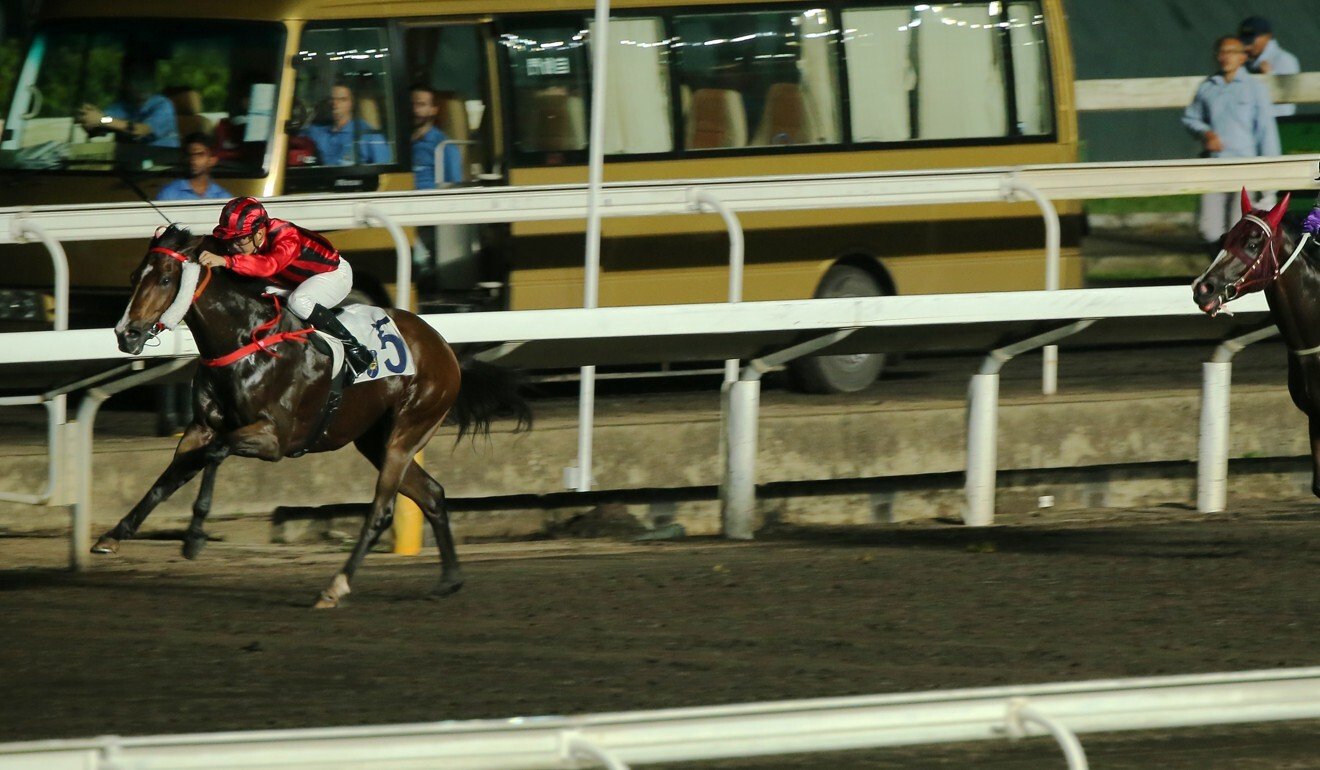 Kings Shield bolts clear to win on the all-weather surface last season.