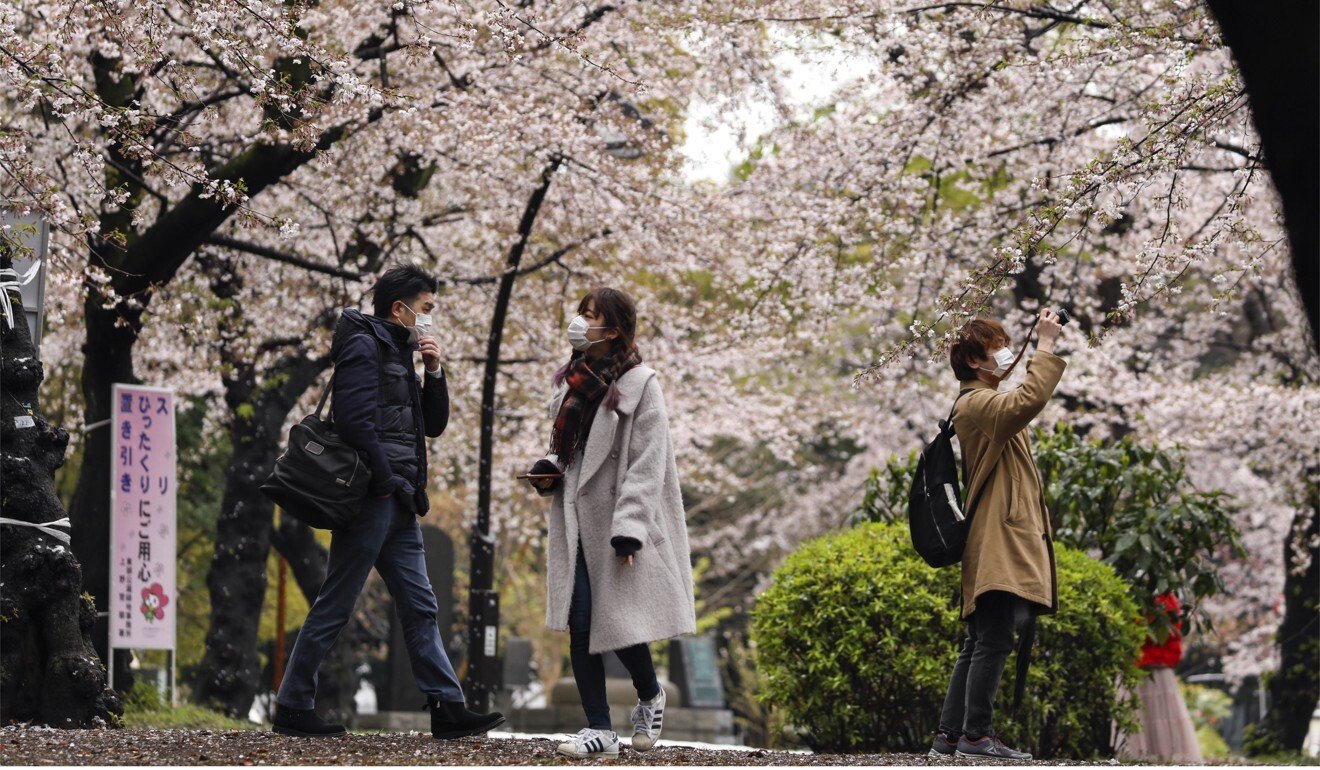 Visitors walk through cherry blossoms at Ueno Park, Tokyo. Photo: EPA-EFE