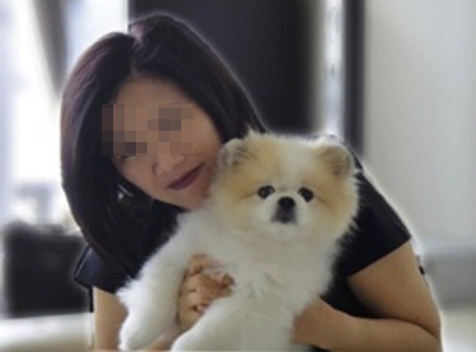 Benny the Pomeranian was infected with the coronavirus and later died, although his age and pre-existing health issues were deemed more relevant for his passing. Photo: Facebook