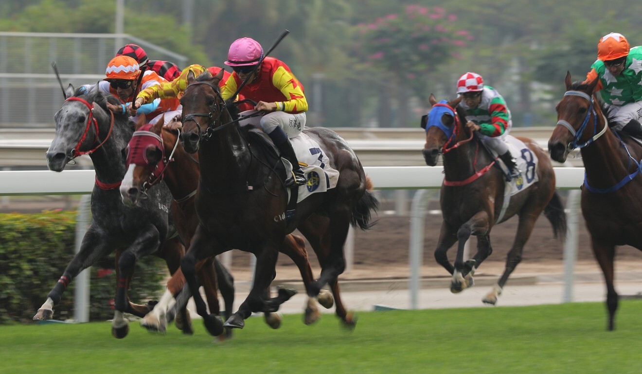 Farhh Above rattles home to win at Sha Tin.