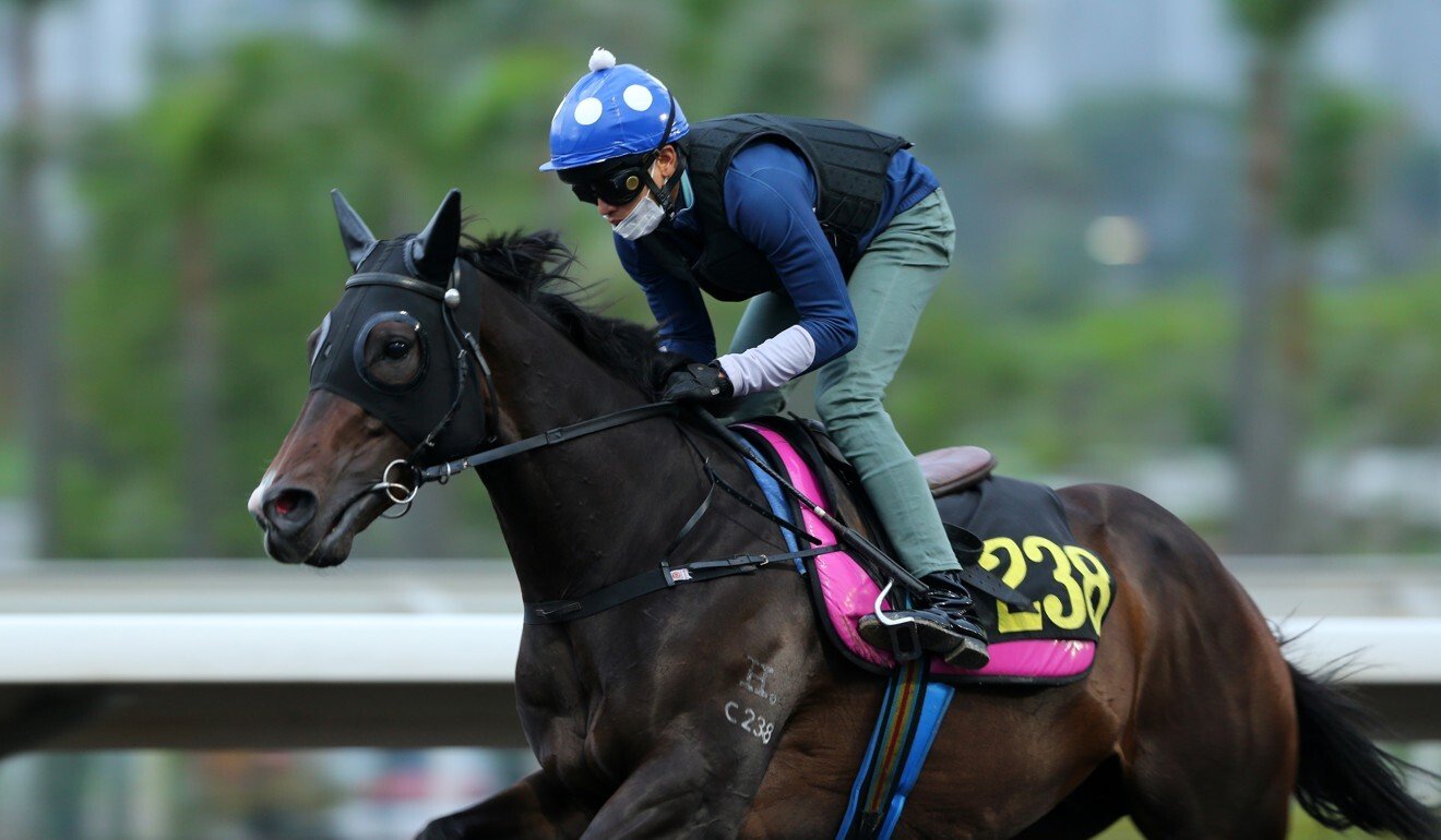 Golden Sixty gallops at Sha Tin under Vincent Ho on Thursday morning.