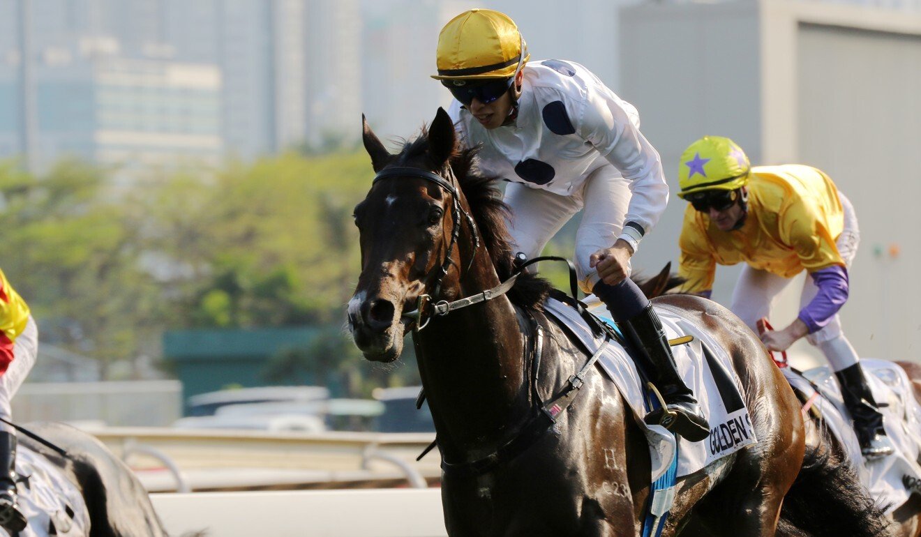 Vincent Ho wins the Hong Kong Derby aboard Golden Sixty