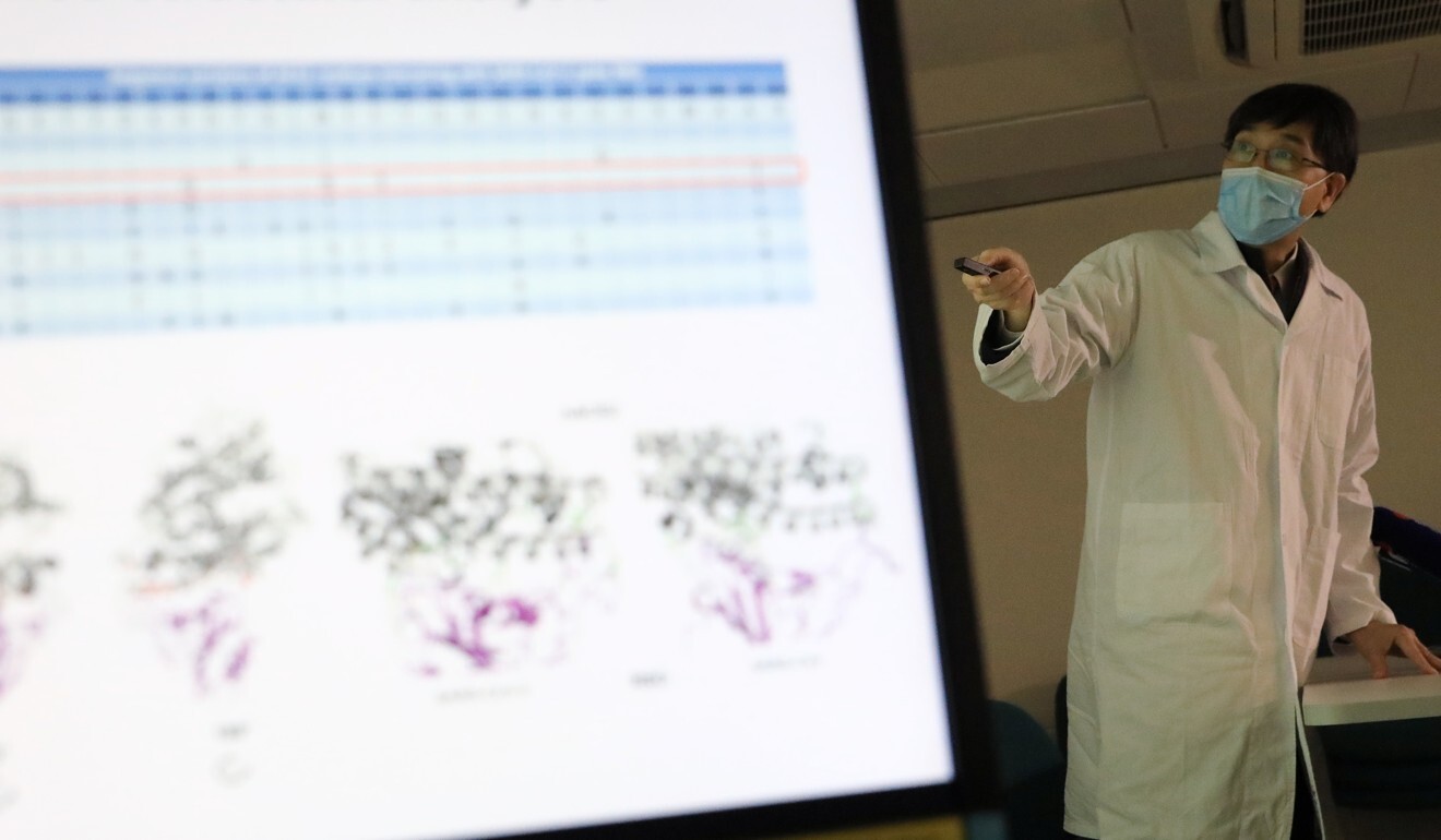 HKU microbiologist Yuen Kwok-yung presents an infection model to the press. Photo: May Tse