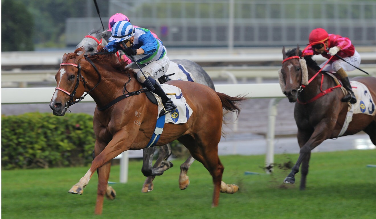 Voyage Warrior leads all the way to win Sunday’s Sprint Cup.