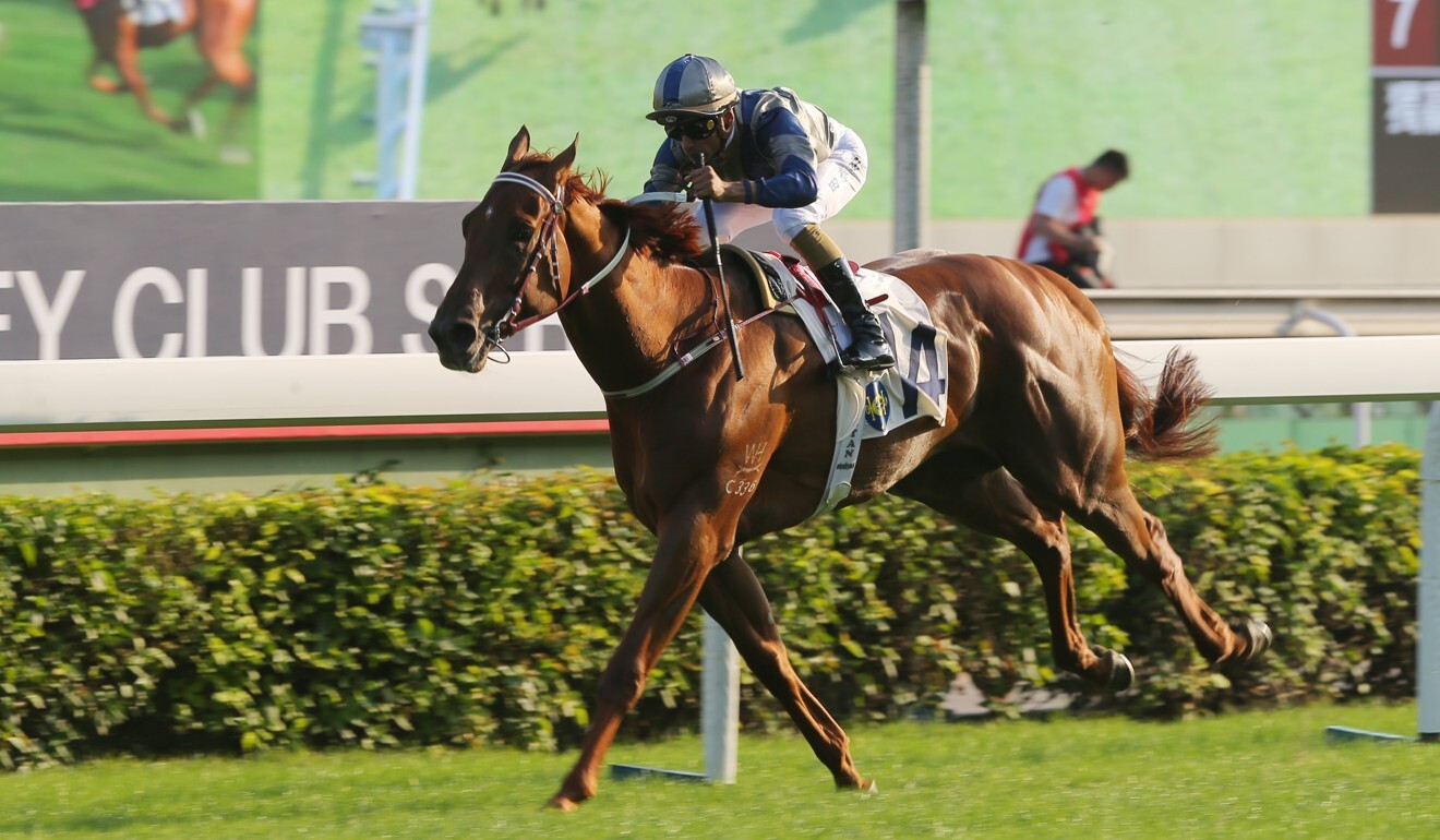 Aethero wins at Sha Tin earlier this season.