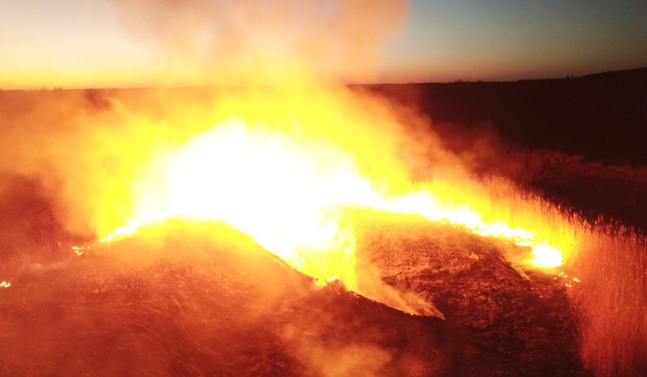 A forest fire burning in the Chernobyl exclusion zone, not far from the nuclear power plant, caused a spike in radiation levels in the area. Photo: AFP