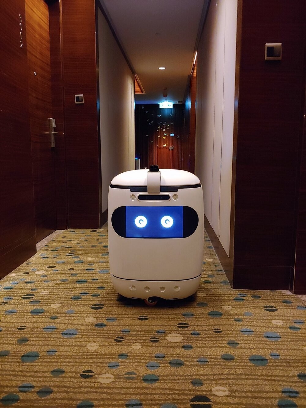 The robots are coming to serve you. Photo: L’hotel Island South