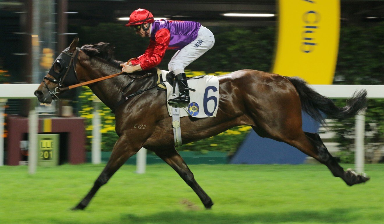 Loving A Boom salutes at Happy Valley.