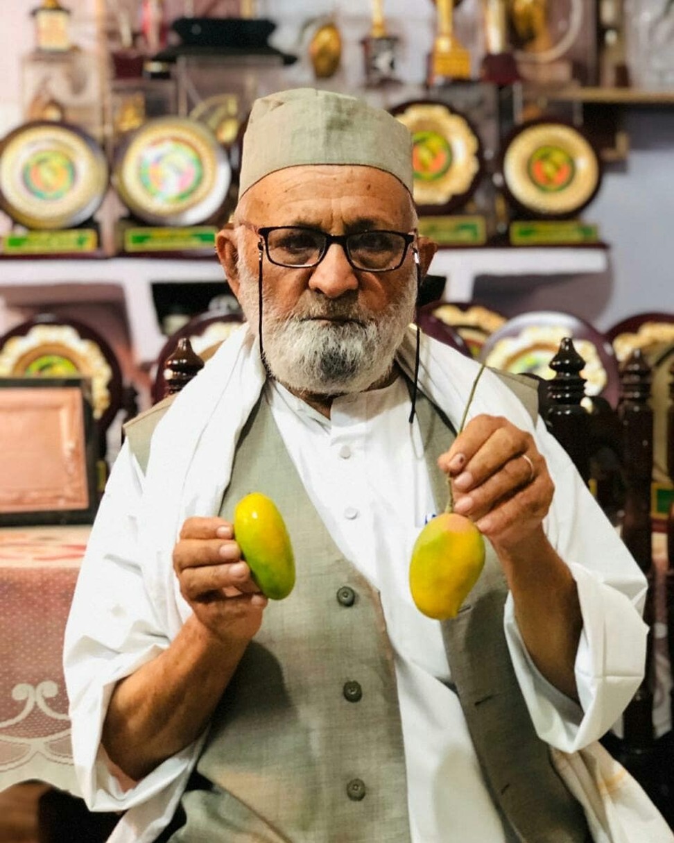 Haji Kaleem Ullah Khan has grown more than 300 different varieties of mangoes on a single tree.