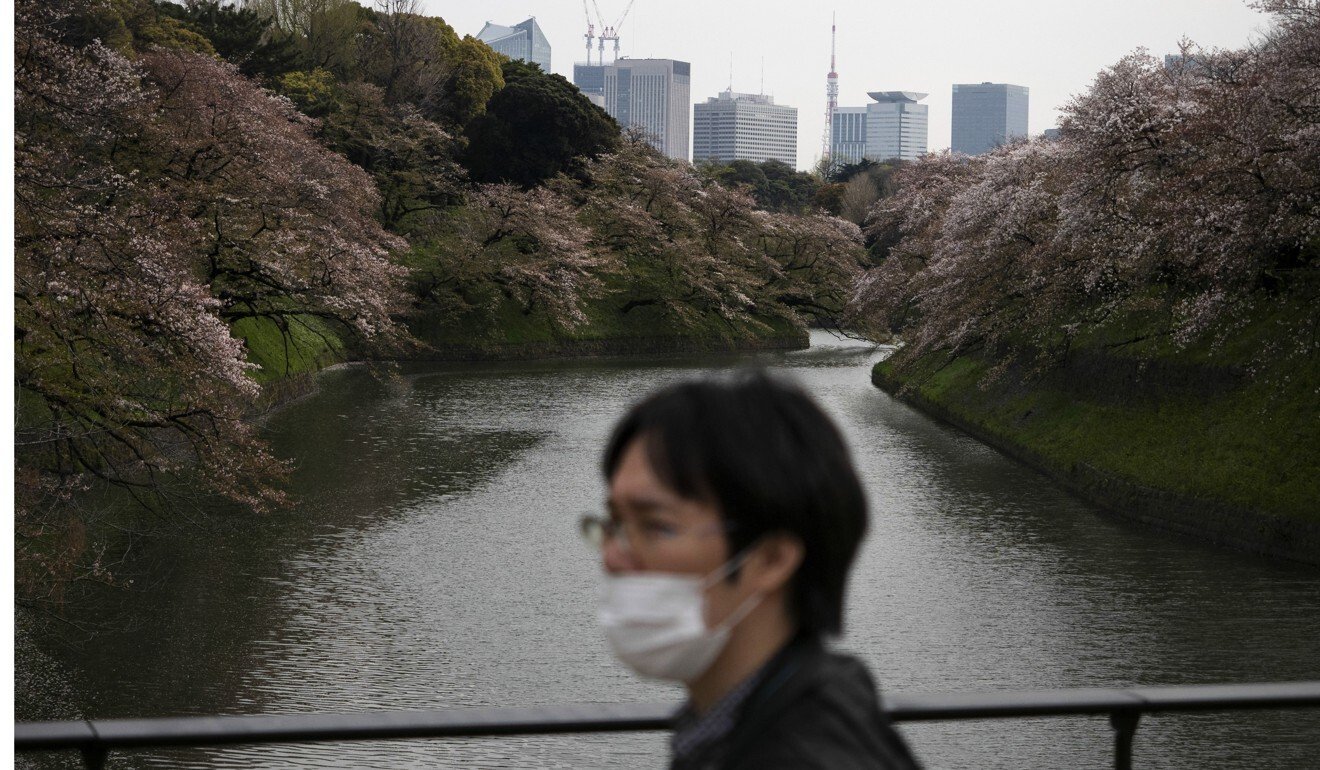 A man with a mask walks past Chidorigafuchi moat, which is lined with blossoming cherry trees, in Tokyo. Photo: AP