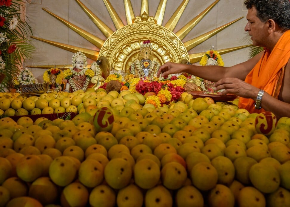 Alphonso mangoes at Shree Udyan Ganesh Mandir, a temple at Shivaji Park in Mumbai, India. Photo: Hindustan Times via Getty Images