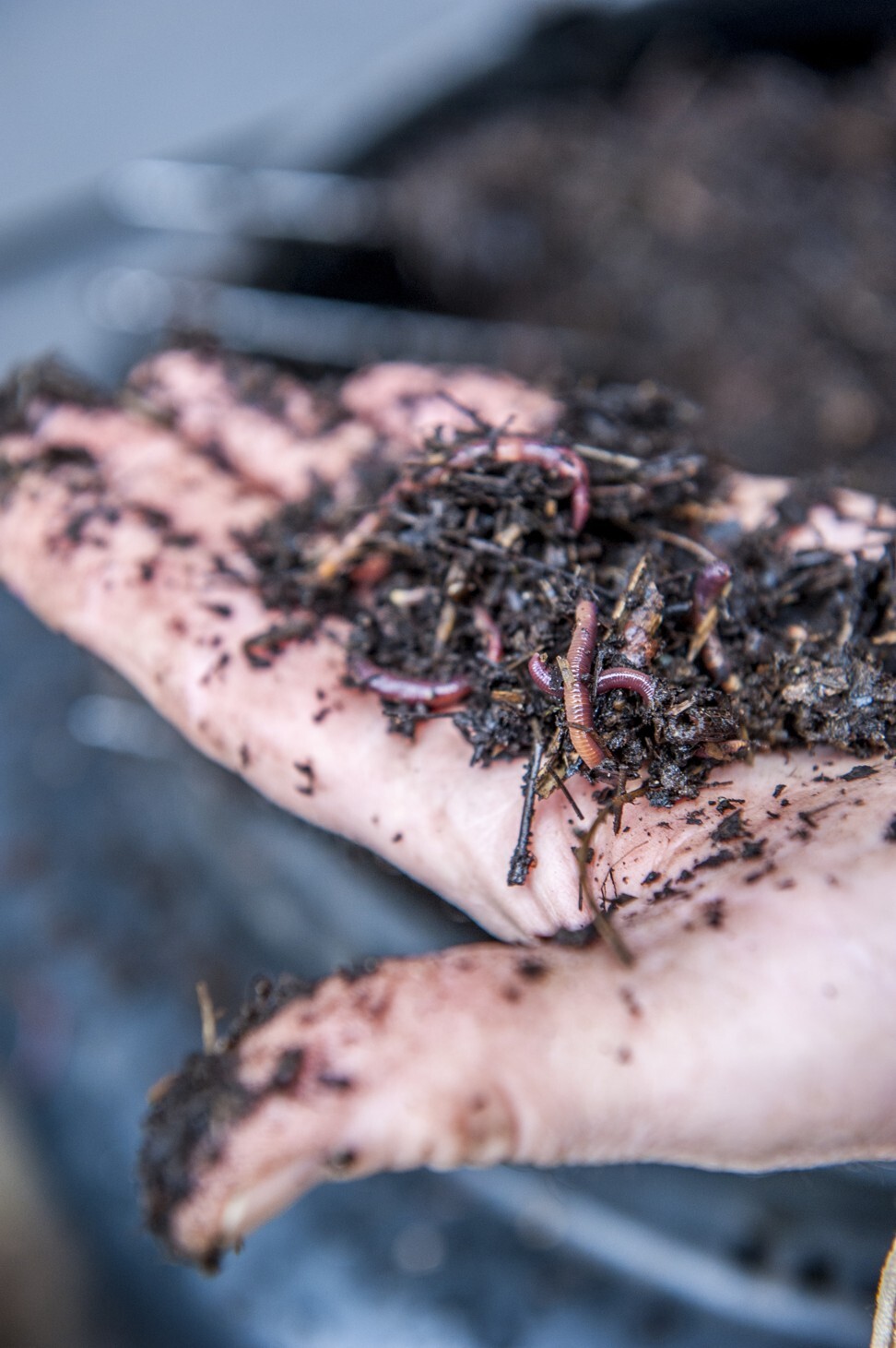 Compost enriches soil and is perfect for good quality organic farming. Photo: Getty Images