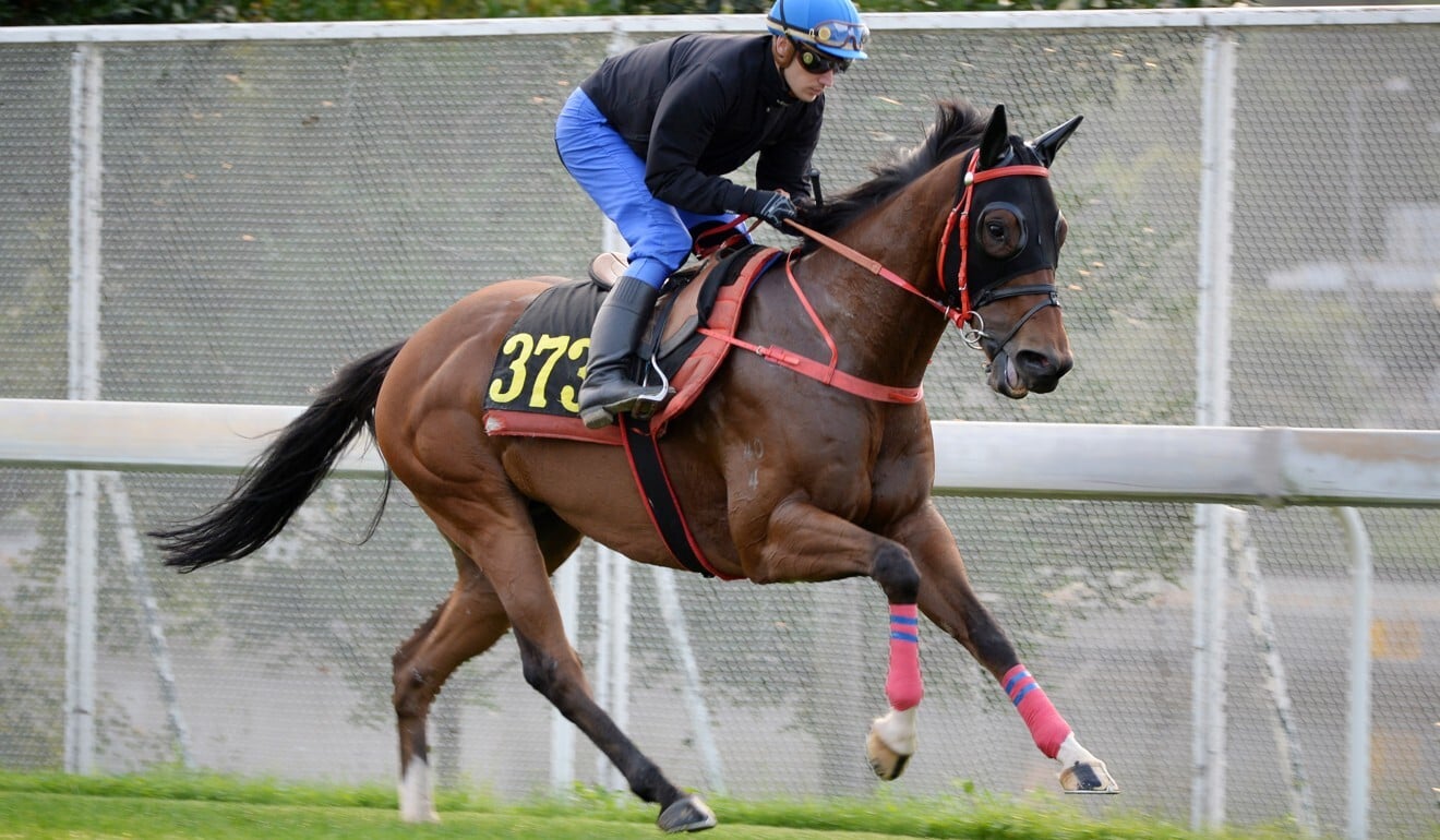 Antoine Hamelin works Baltic Success at Sha Tin on Thursday.