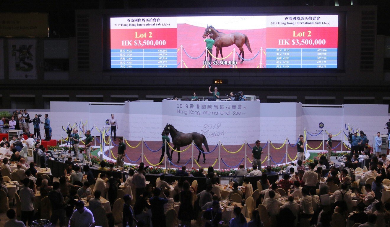 A horse goes under the hammer at the 2019 sale.