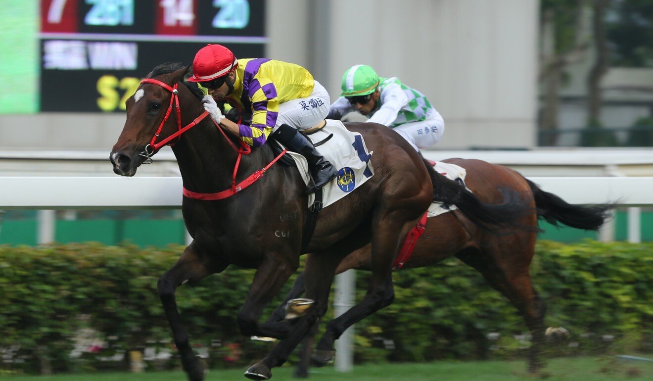 Champion’s Way races to victory at Sha Tin in 2019.