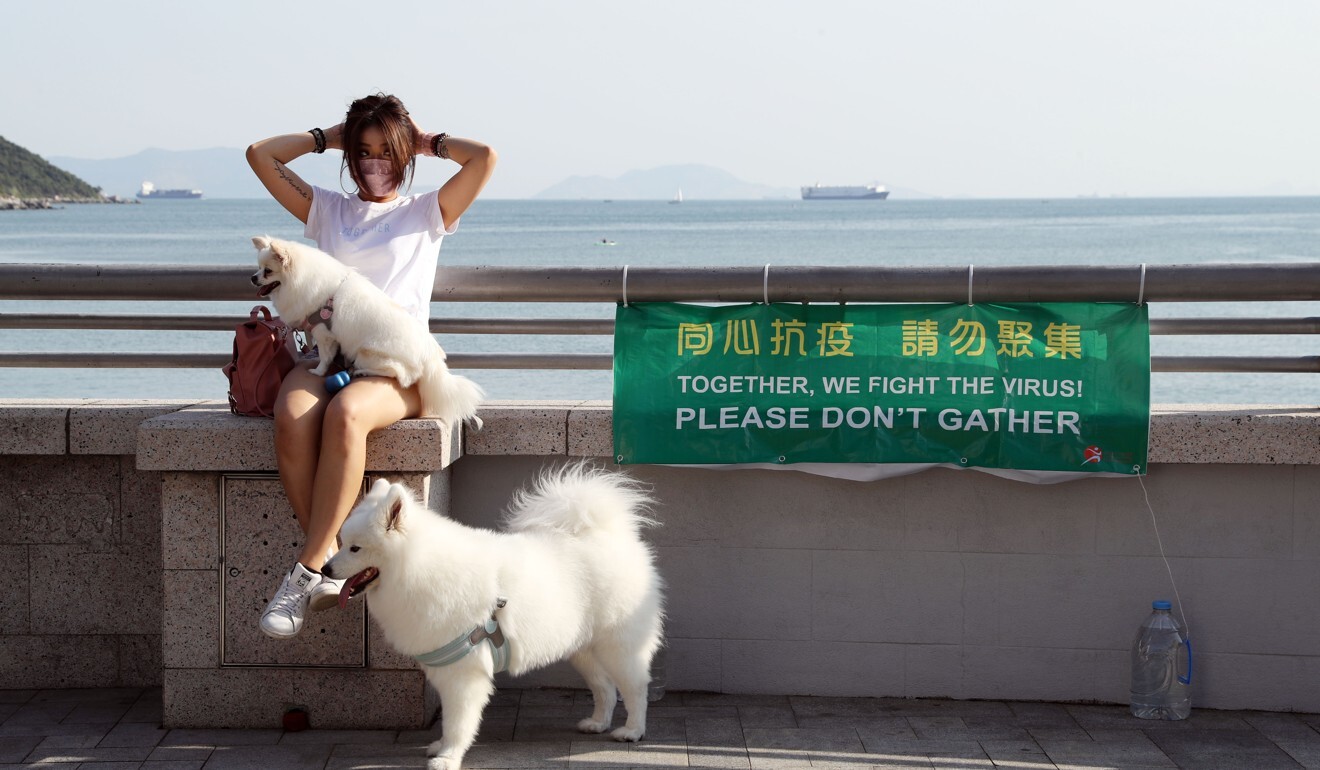 A woman with her dogs along the waterfront at Stanley in Hong Kong. Photo: Edmond So