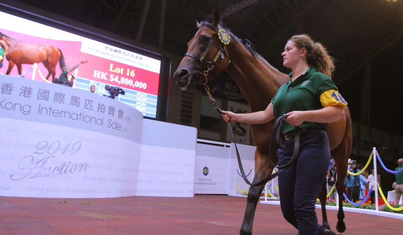 A horse is sold at the 2019 event.