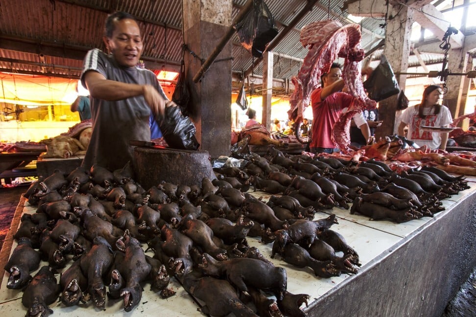 Smoked bats on a market stall at Tomohon Traditional Market. Photo: Biosphoto via AFP
