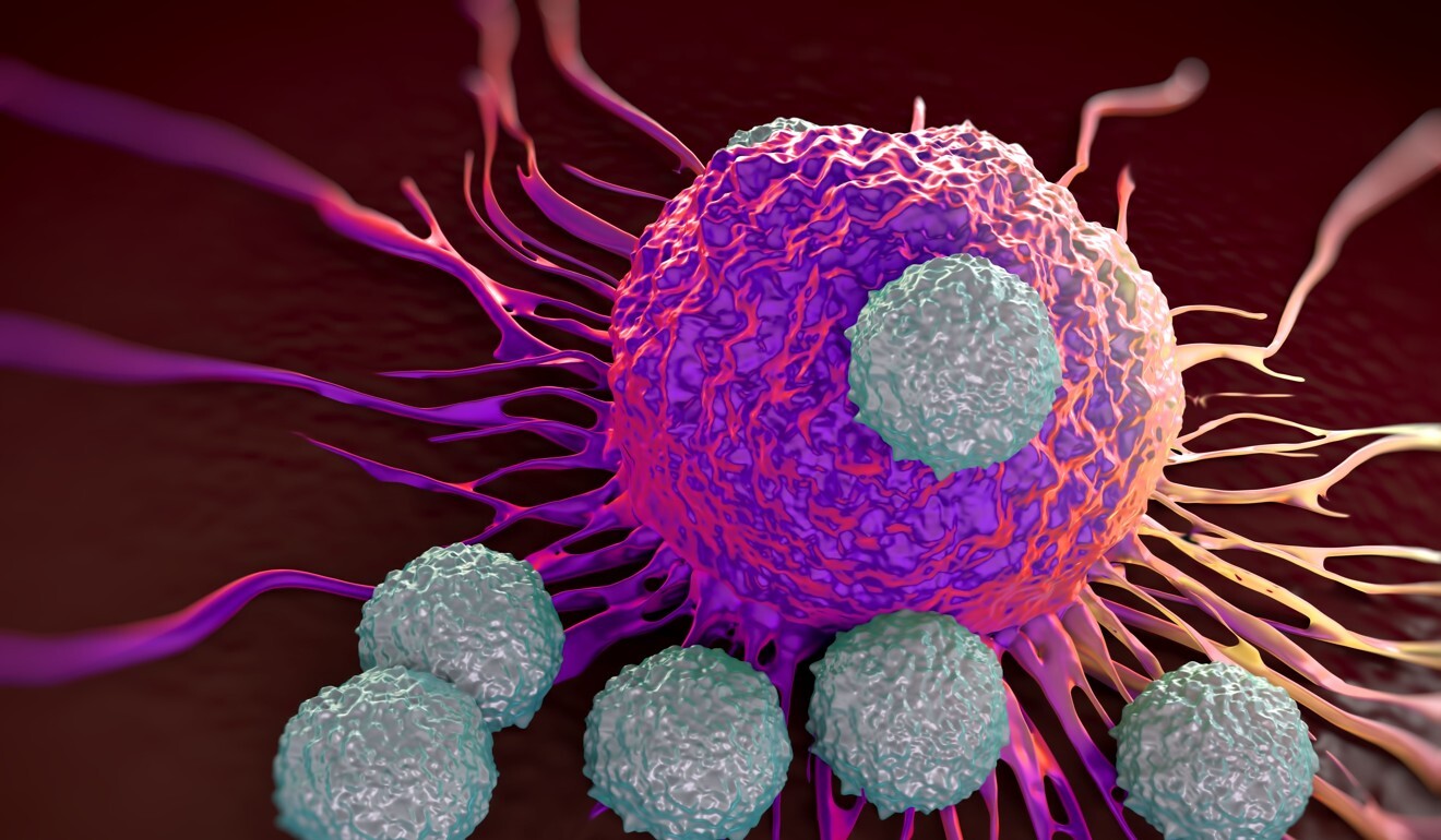 T-cells attack harmful cells, such as cancers. Photo: Shutterstock