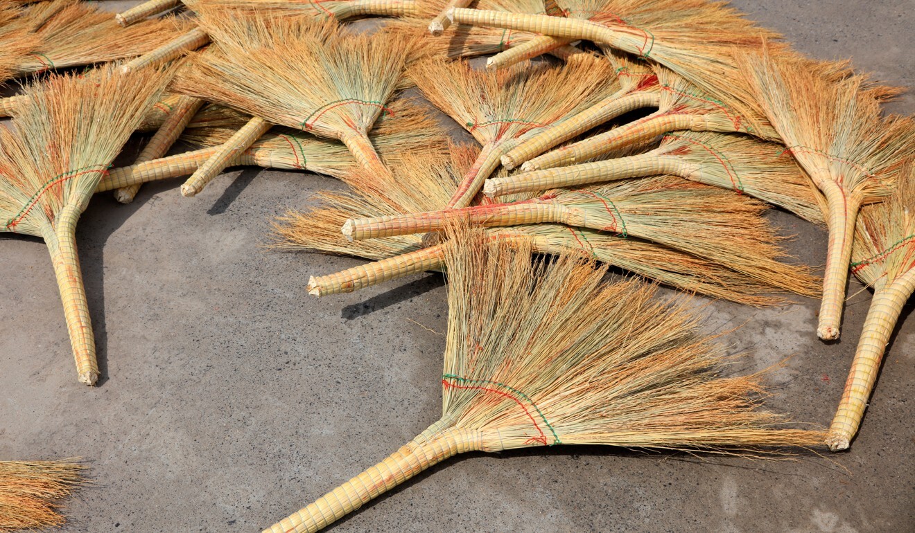 How cicadas from China invaded Japan – on broomsticks | South China ...