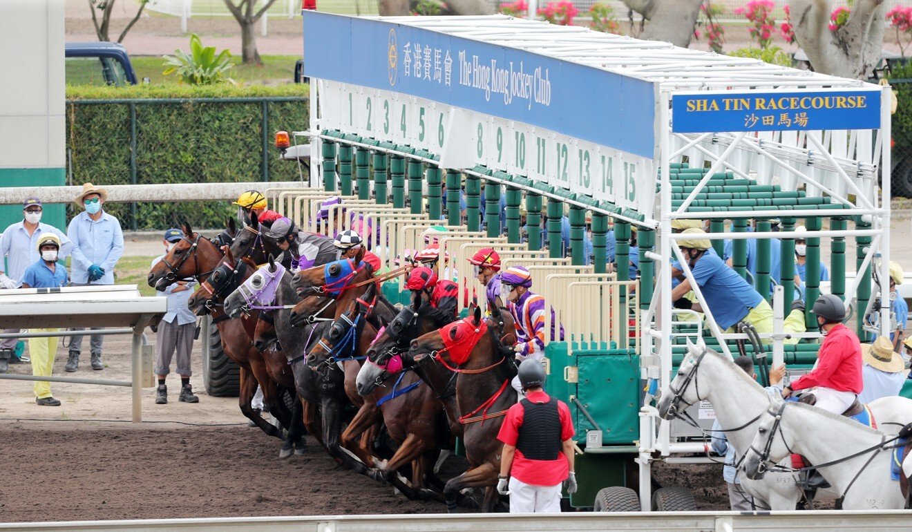 Jade Fortune (centre) seen with his head up during the start at Sha Tin on Sunday.