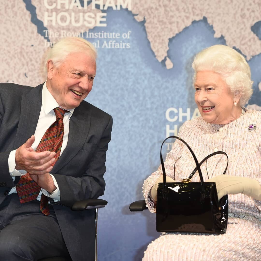 Royal Family: What does the Queen really keep in her handbag after her  special appearance with Paddington Bear - MyLondon