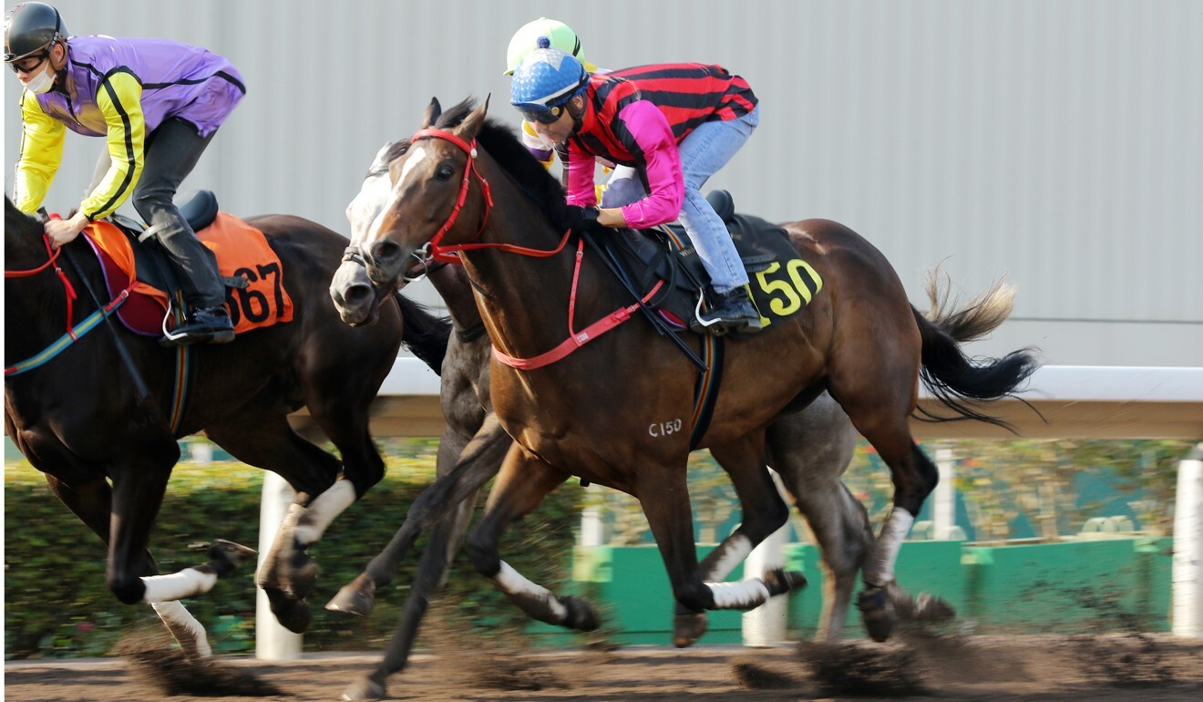 Waikuku trials at Sha Tin last week.