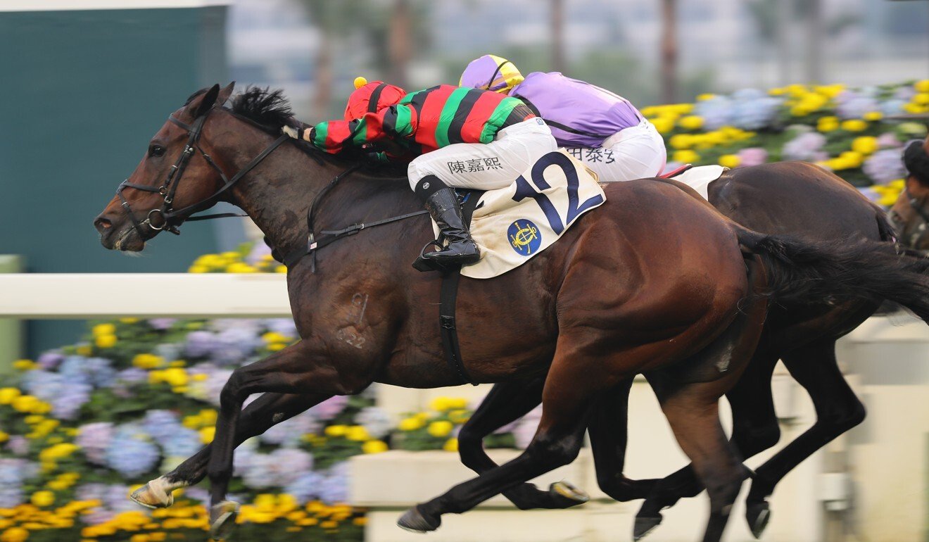 Alfred Chan pushes home General’s Delight at Sha Tin.