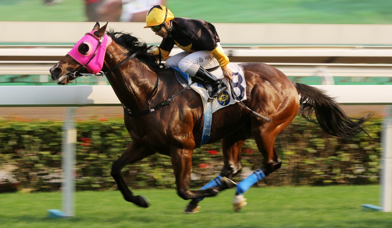 Matthew Poon salutes on Top Score last month.