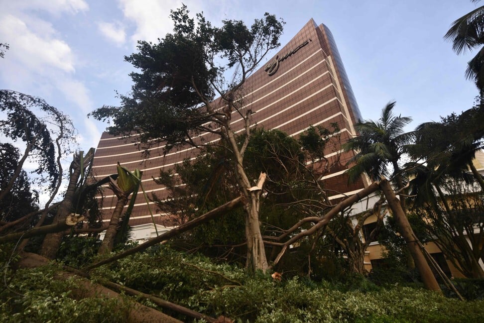 Trees damaged by Typhoon Hato in front of the Wynn Macau, on August 24, 2017. Photo: AFP