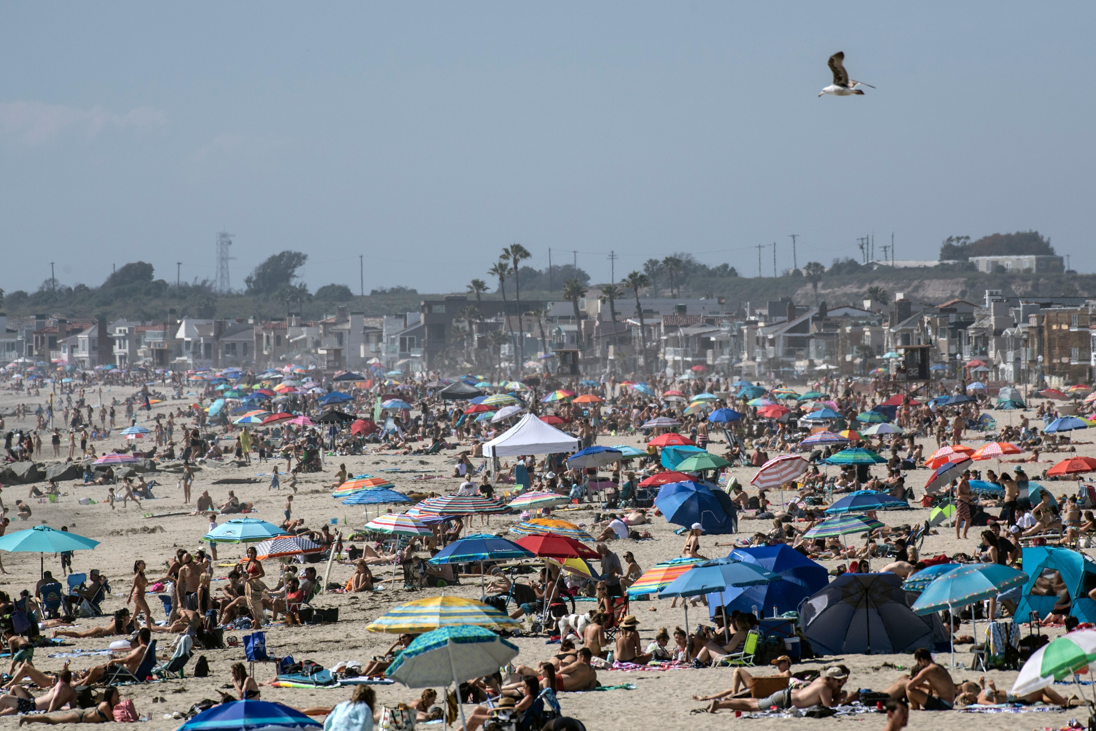 People gather at Newport Beach in California as a heatwave hits the area despite the stay-at-home order due to the coronavirus outbreak. Photo: Orange County Register via Zuma/dpa
