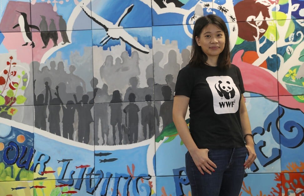 ‘One of world’s biggest wildlife crimes’ glass eel smuggling and how