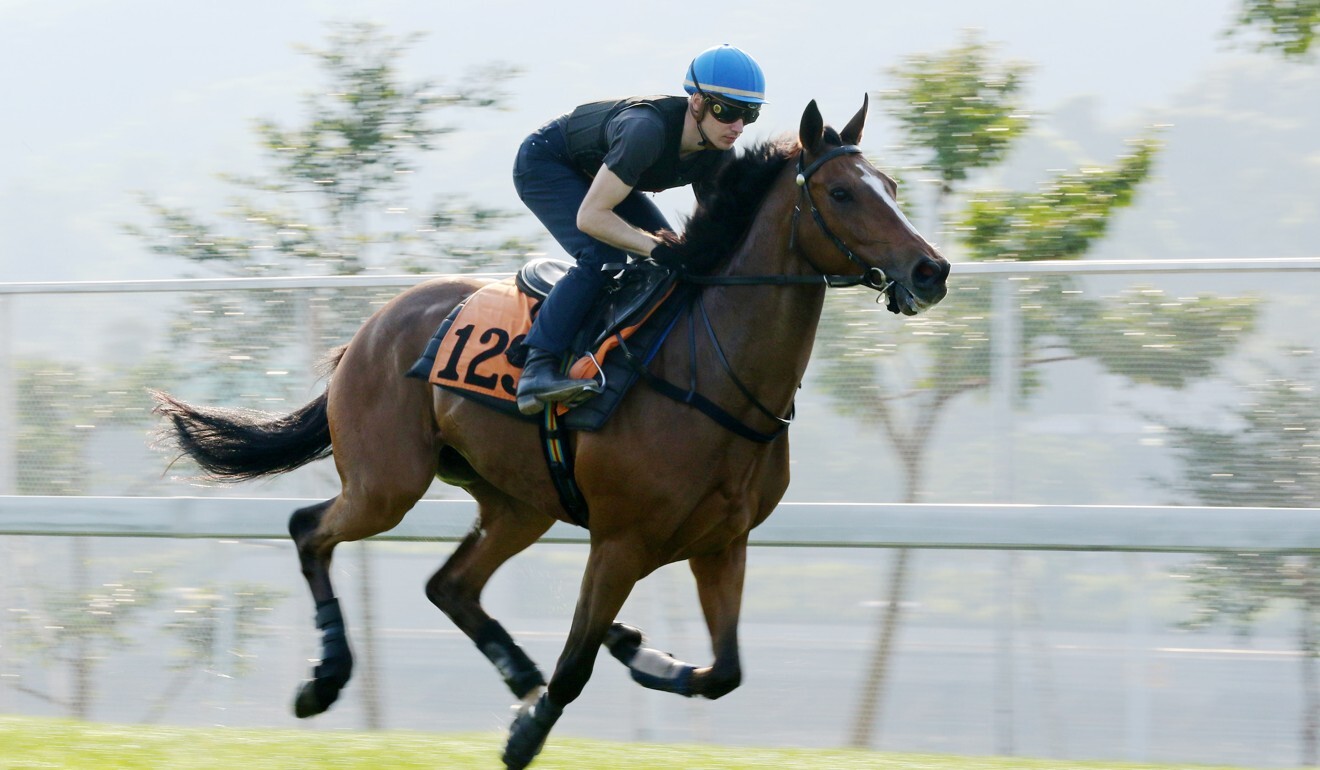 Helene Charisma works under Antoine Hamelin at Sha Tin.