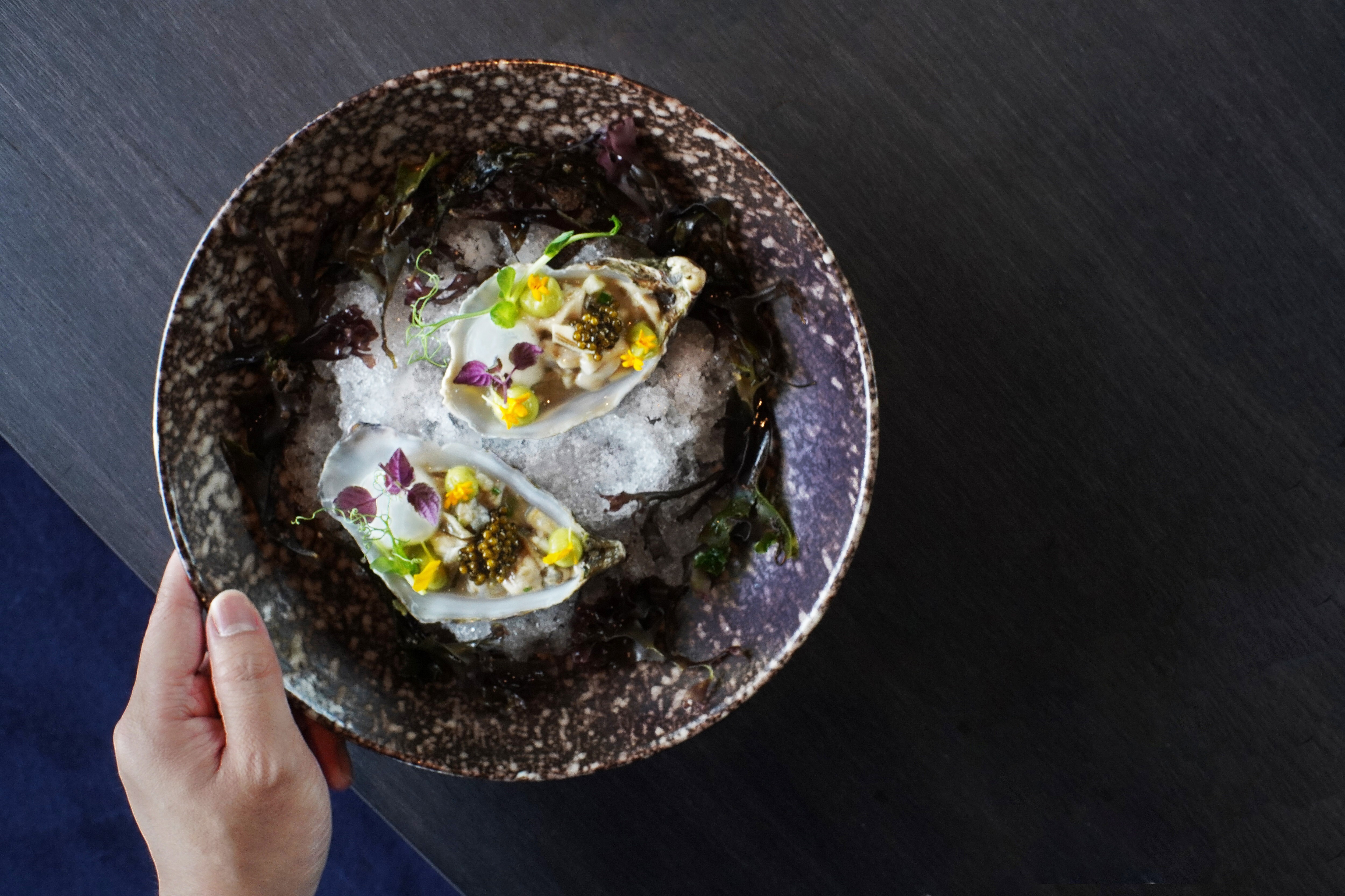 West Kowloon Cultural District eatery Pano is now open for business – and serving this tempting-looking oyster tartar. Photo: Pano