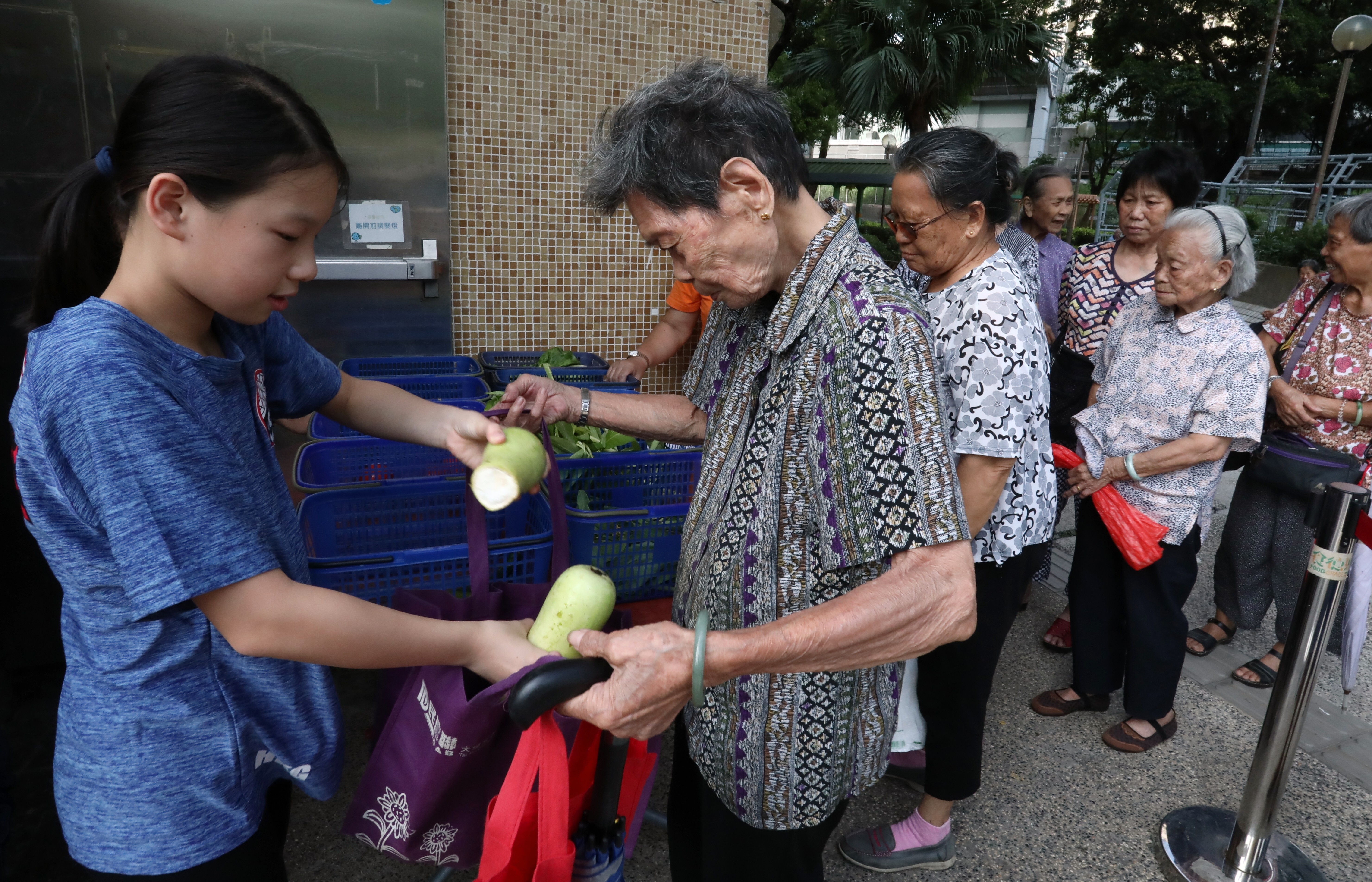 10 year old Food Grace volunteer Maggie Pok Man-yu (L), giving out vegetables to the elderly in Tai Po, under their Food Recycling Scheme. 30AUG19 SCMP / Jonathan Wong