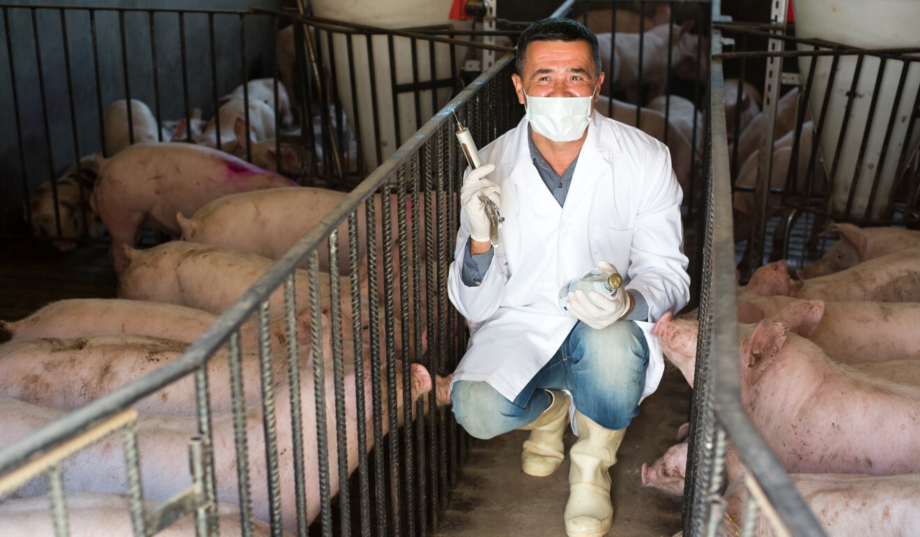 Antibiotics are widely used in farming, which has also added to antibiotic resistance. Photo: Shutterstock