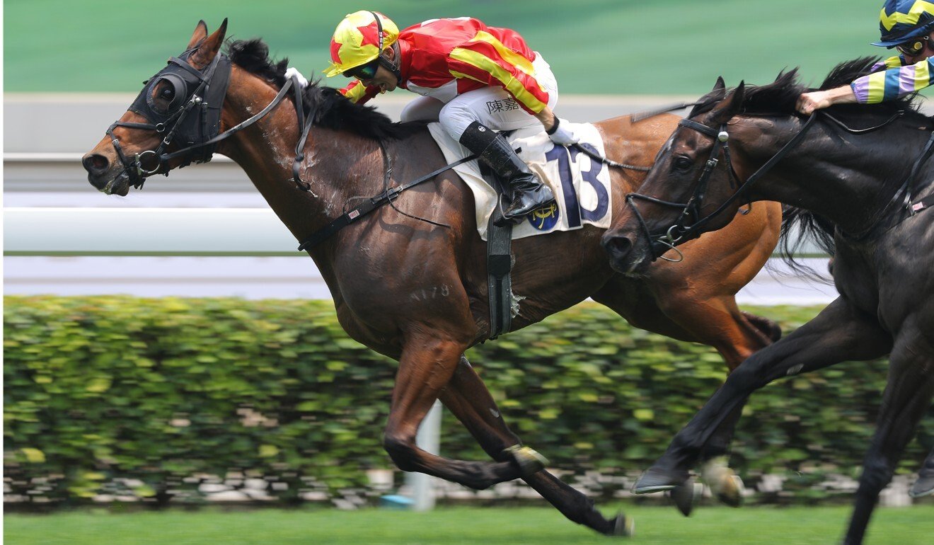 Relentless Me hits the line to win under Alfred Chan last month.