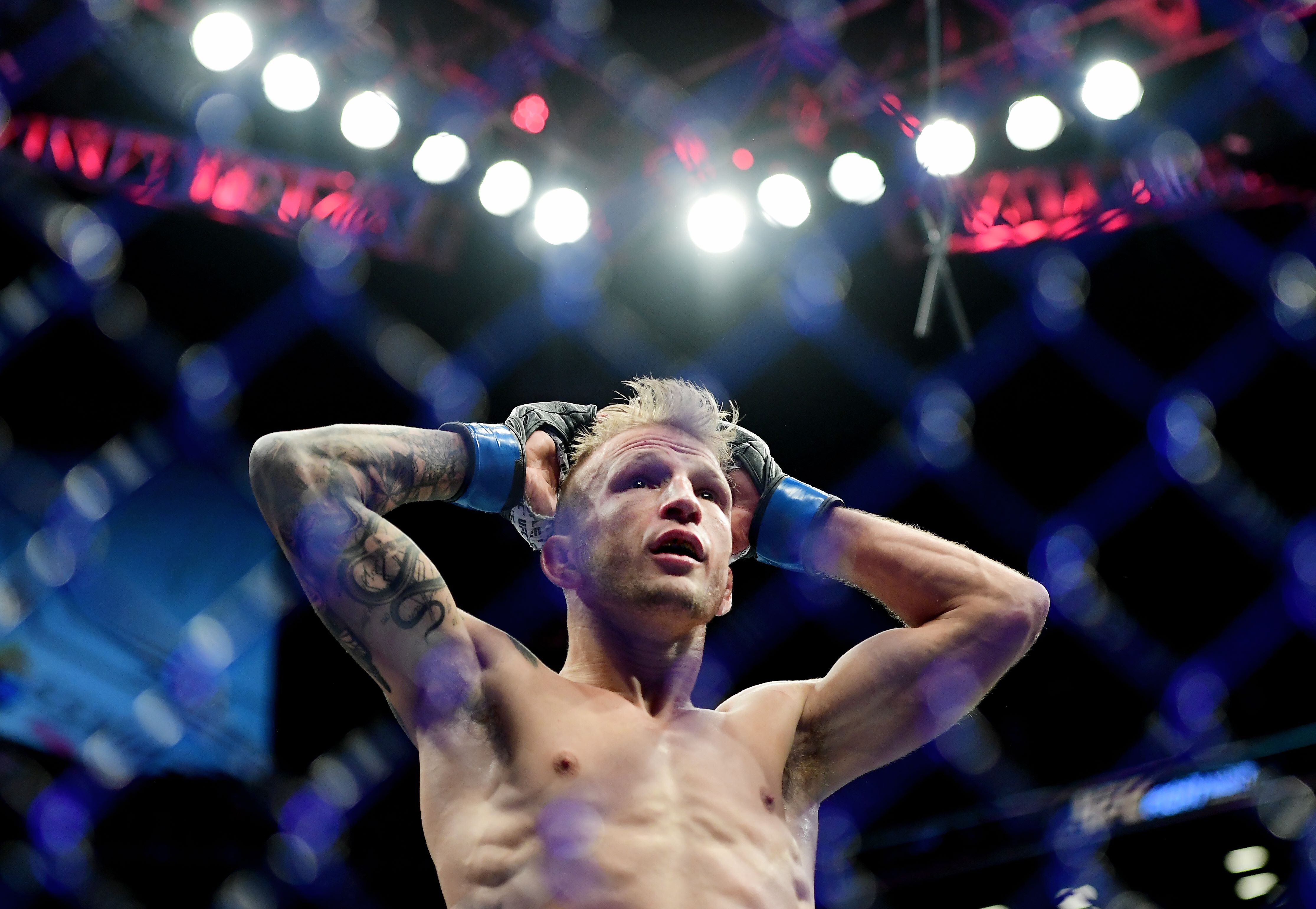 TJ Dillashaw looks dejected after the referee stops his fight against Henry Cejudo. Photo: AFP