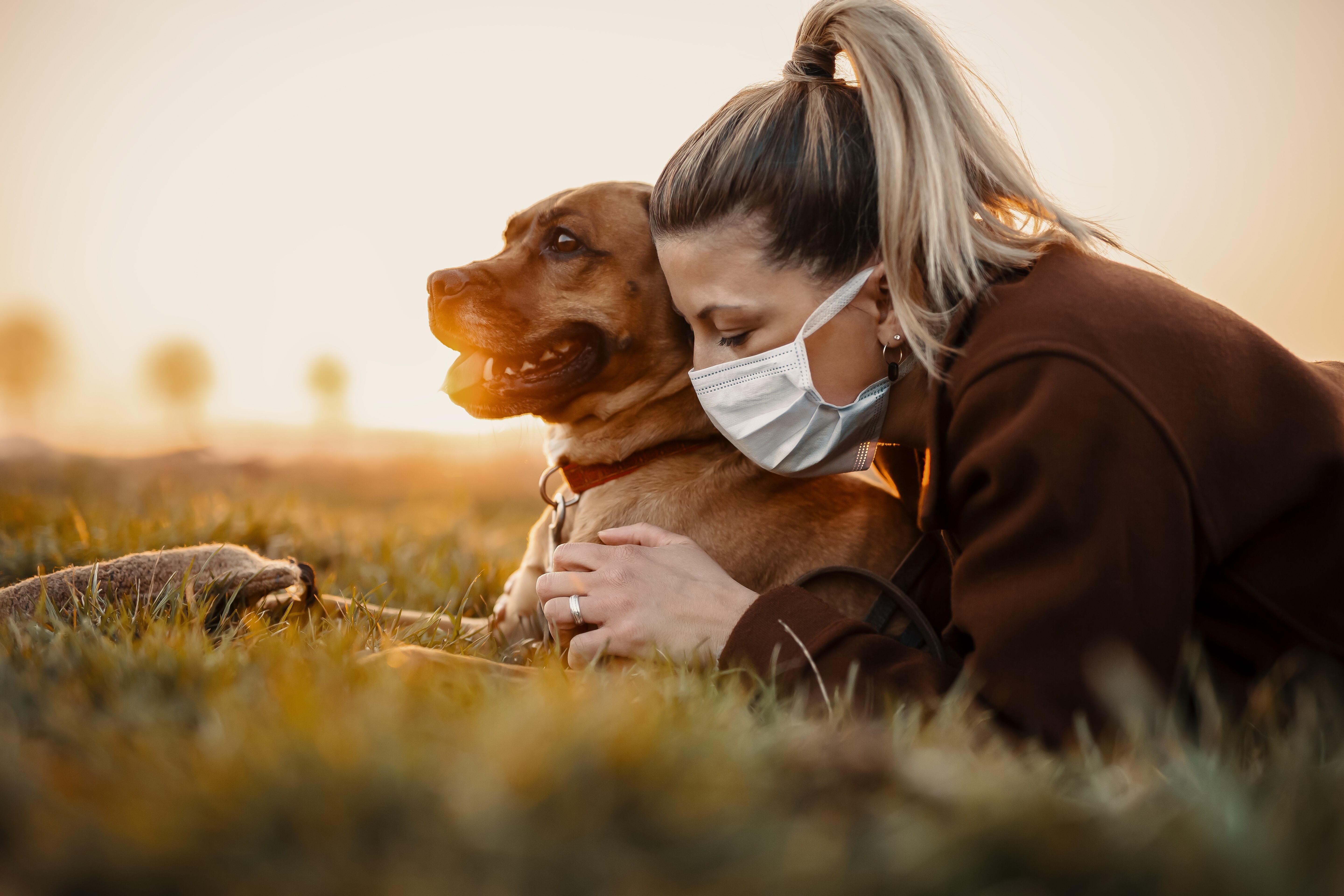 Fostering a pet benefits the animal and the person. Photo: Shutterstock