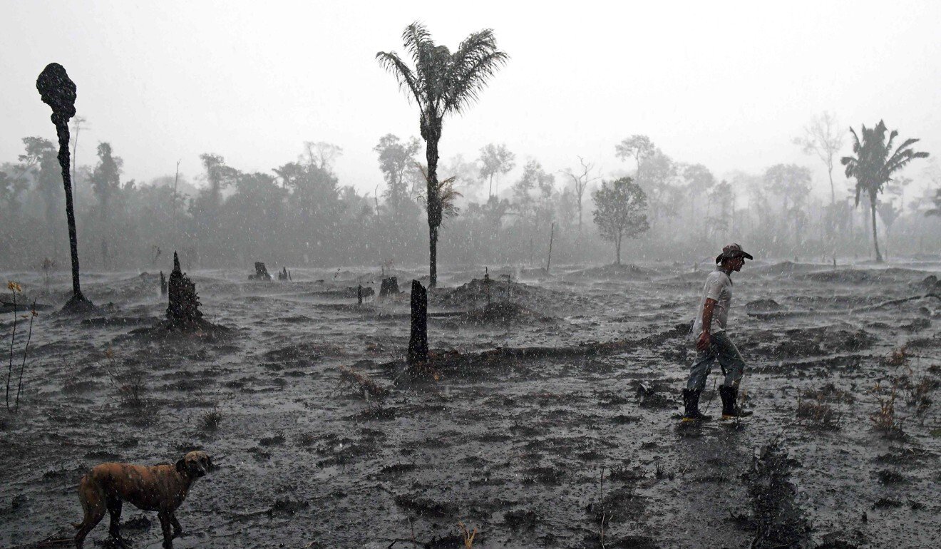 Brazilian farmer Helio Lombardo Do Santos and a dog walk through a burnt area of the Amazon rainforest, near Porto Velho, Rondonia state, Brazil. Photo: AFP