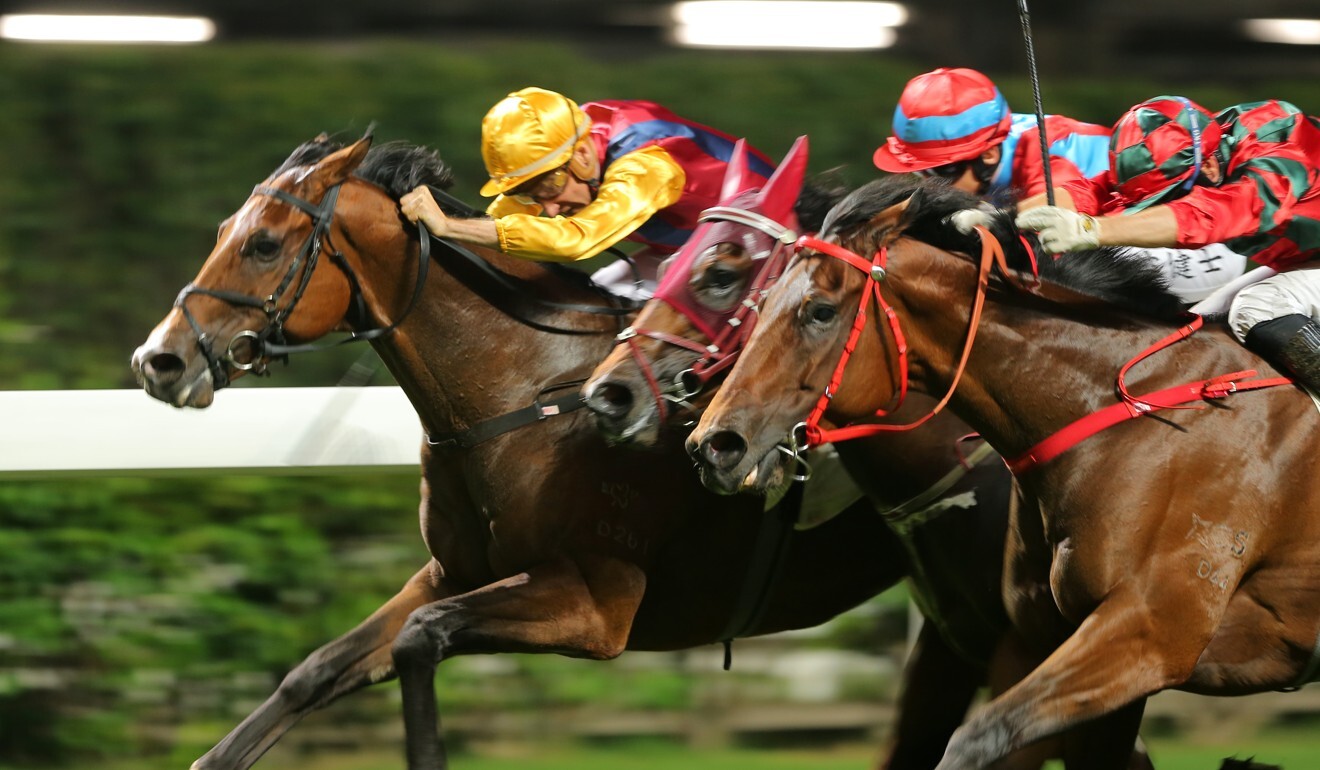 Blake Shinn drives Daily Delight to victory.