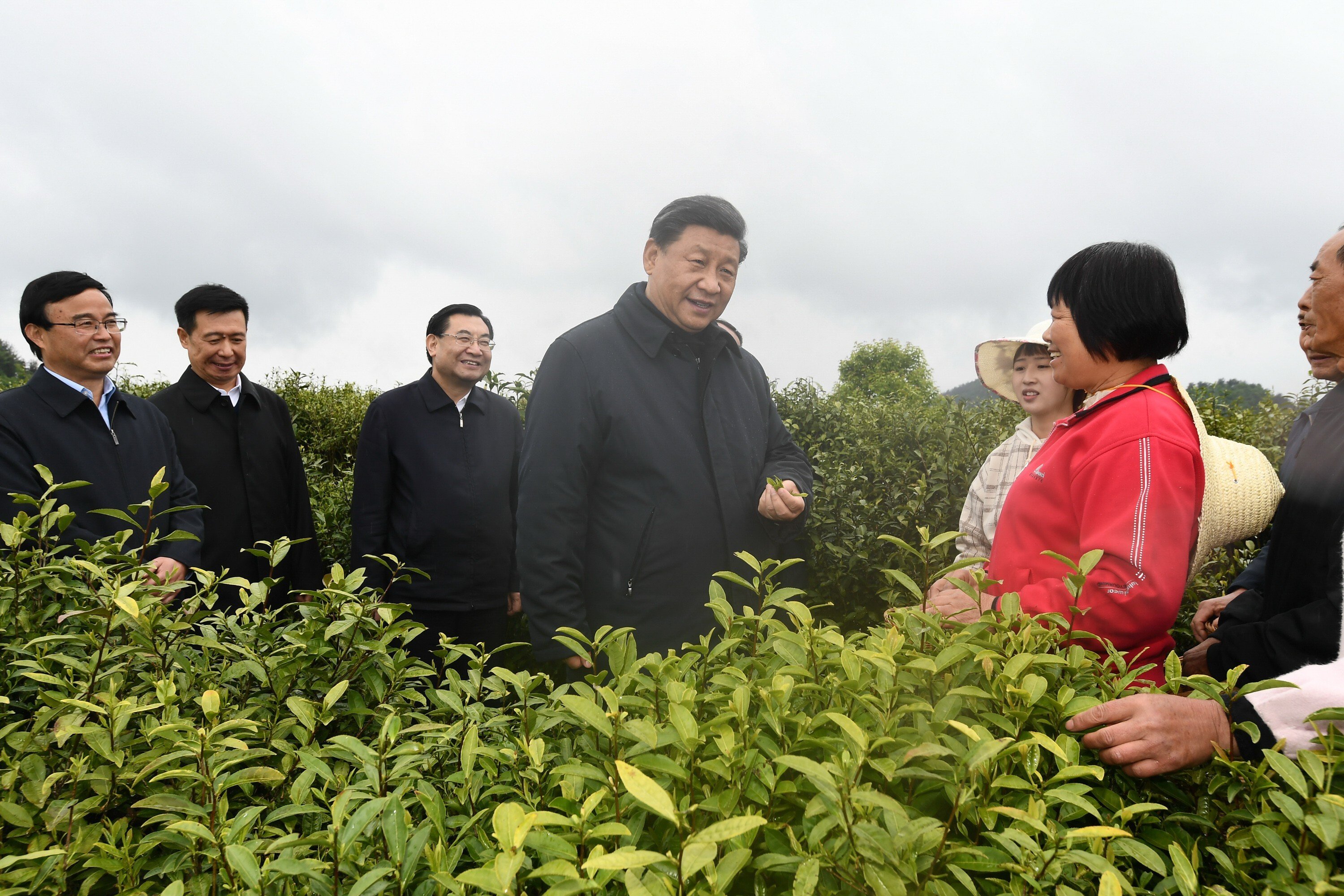 Chinese President Xi Jinping talks to tea growers on a visit to Shaanxi province last month. Photo: Xinhua