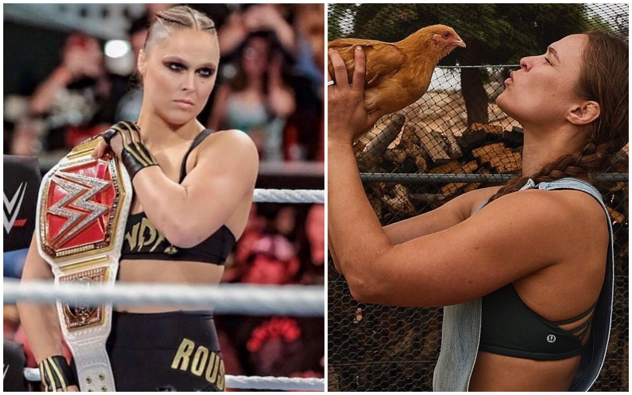 Ronda Rousey has built a reputation as a fierce fighter in the UFC and WWE worlds. Now she feeds chicken while avoiding fans. Here’s a look at her double life. Photo: @rondarousey/Instagram